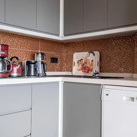 Modern Two-bedroom Flat With Stunning Bosphorus View